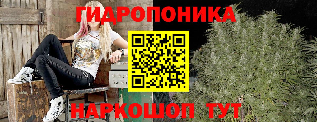 Каннабис Amnesia Карасук